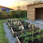 Verde, Peace And Quiet